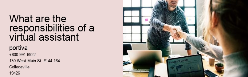 what are the responsibilities of a virtual assistant