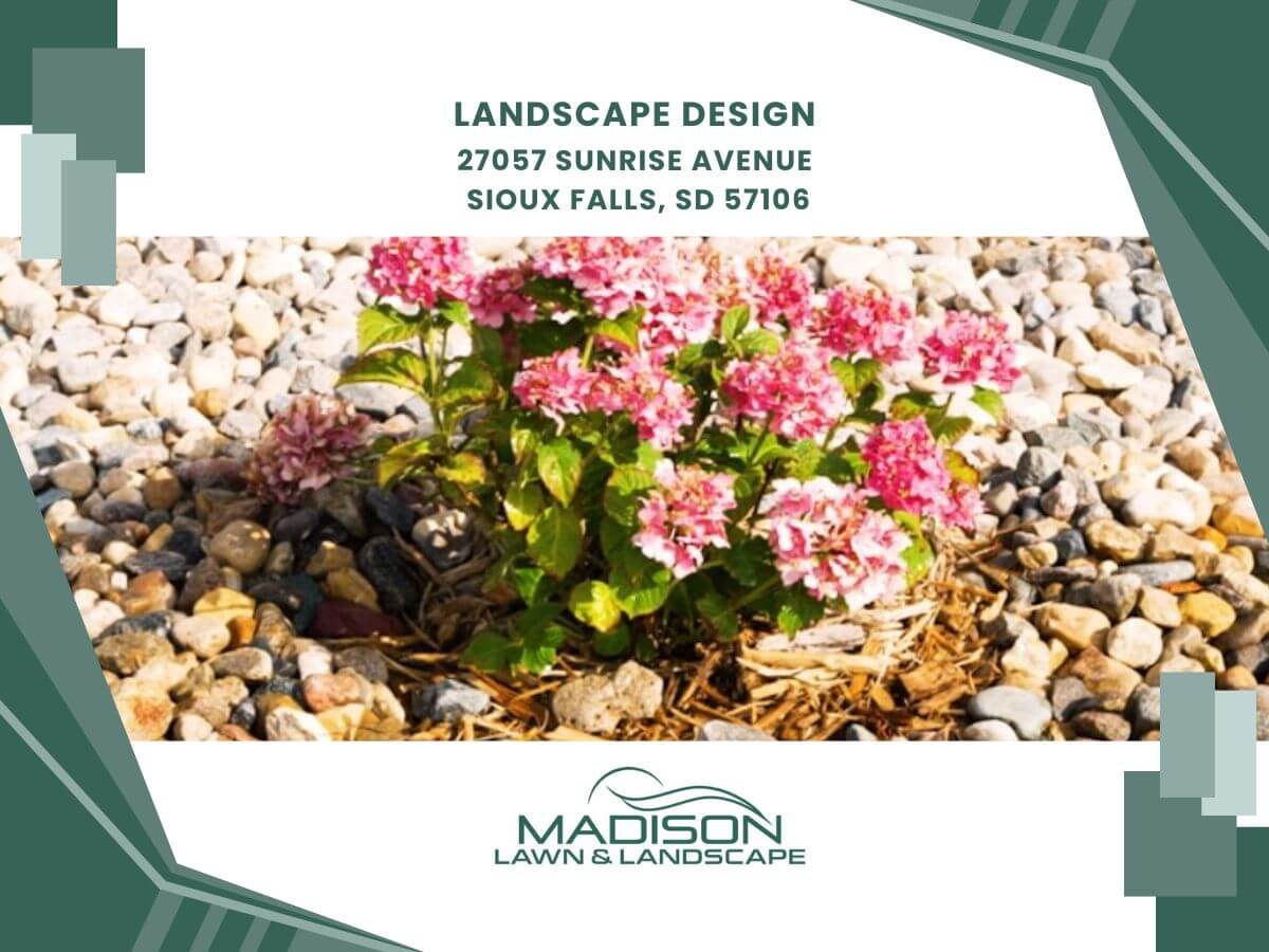 landscape design
