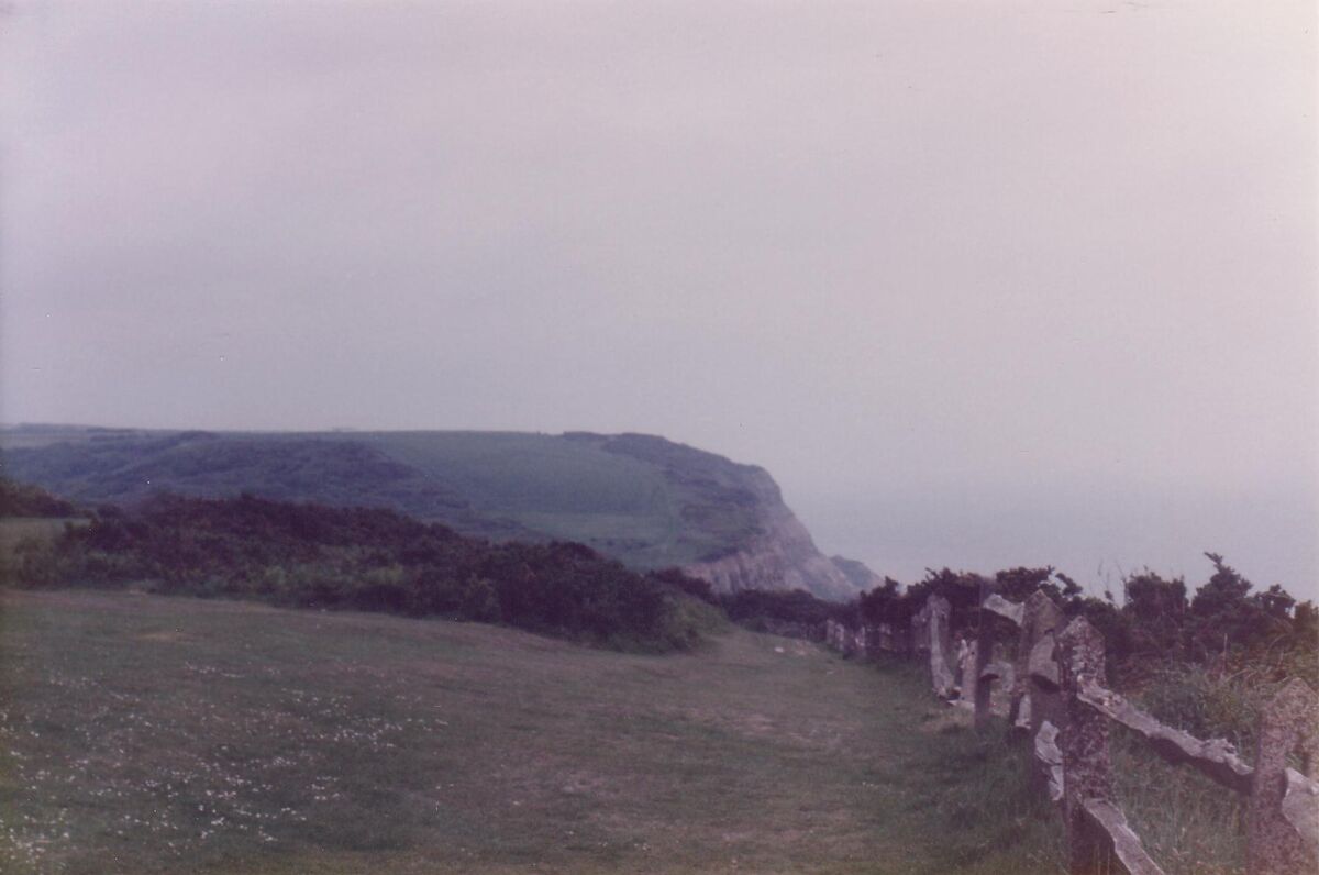39