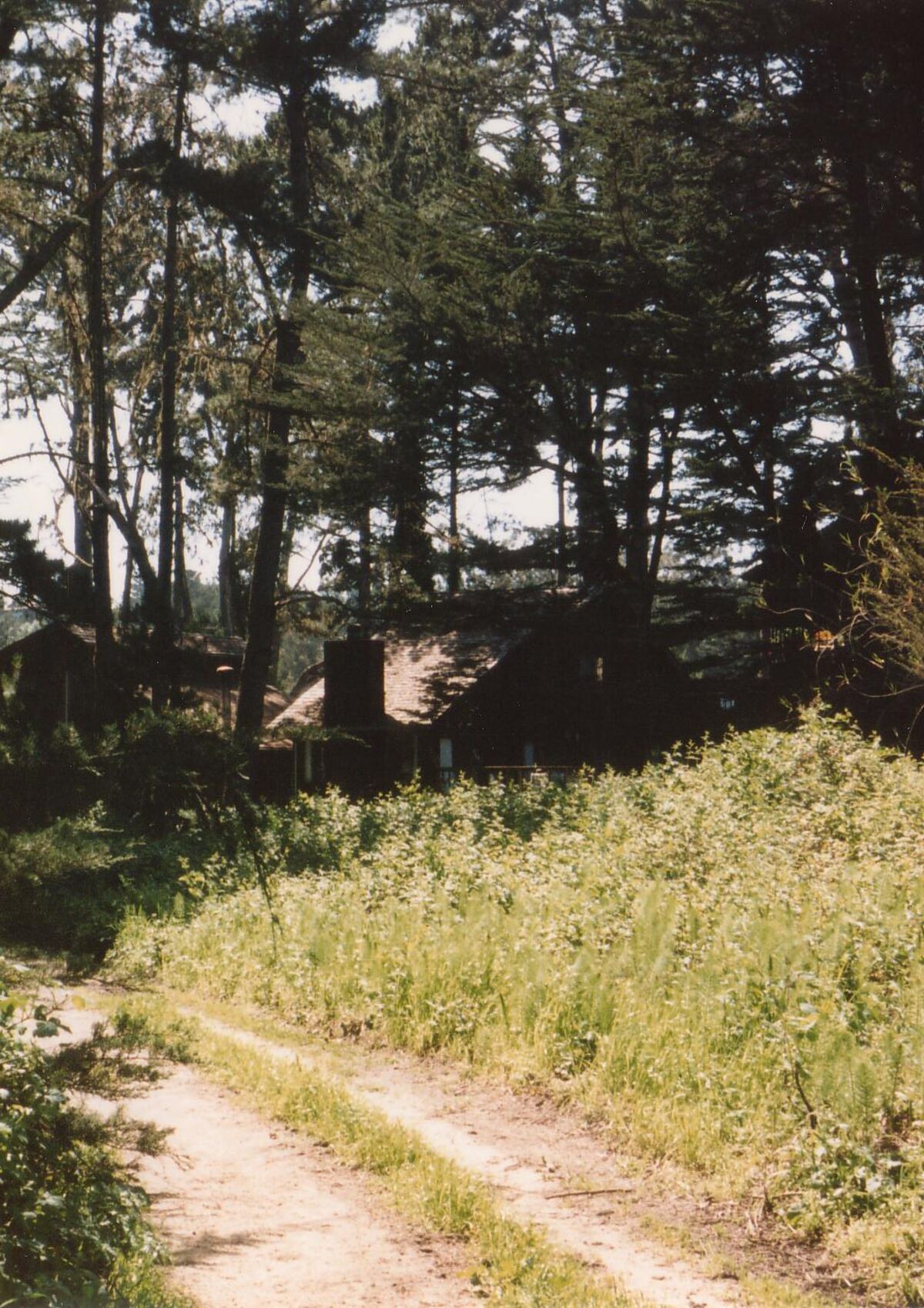 05