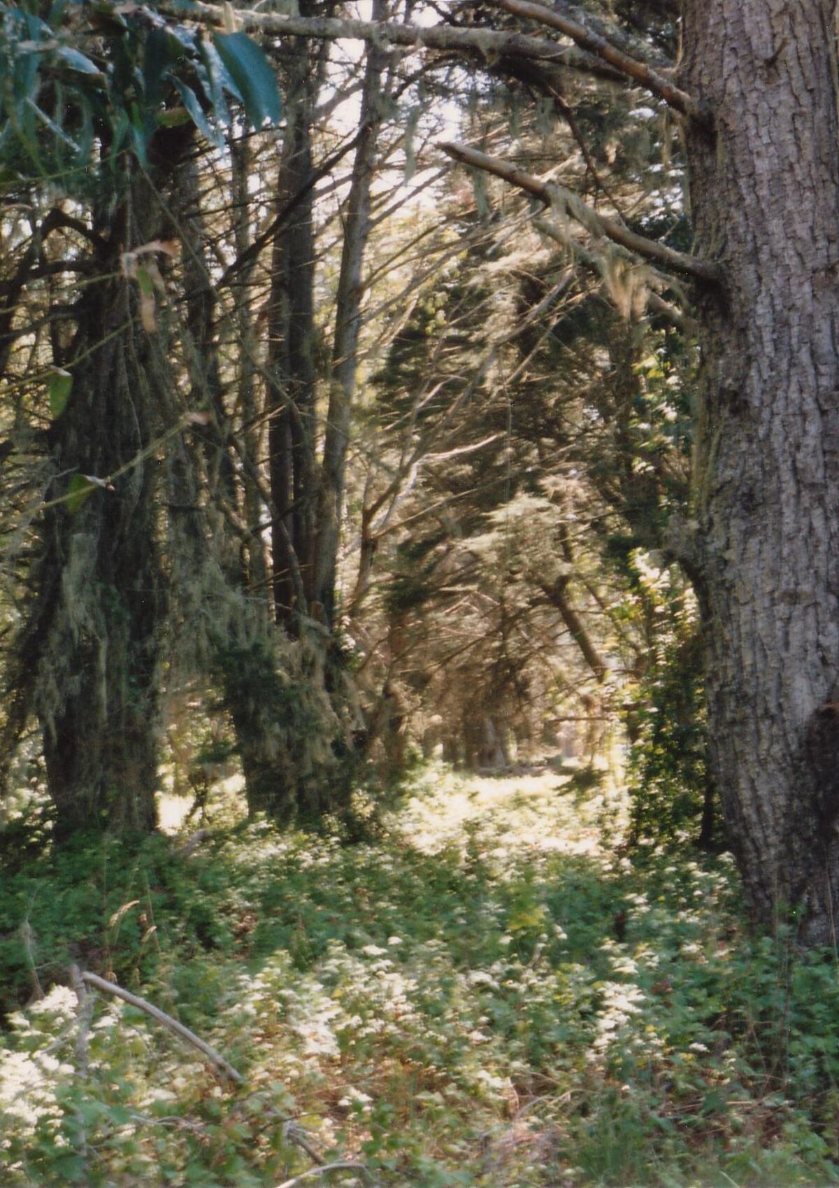 07