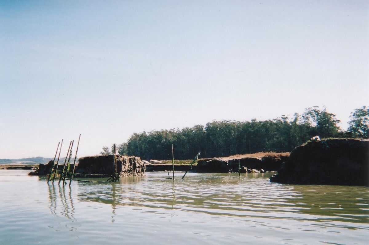 09