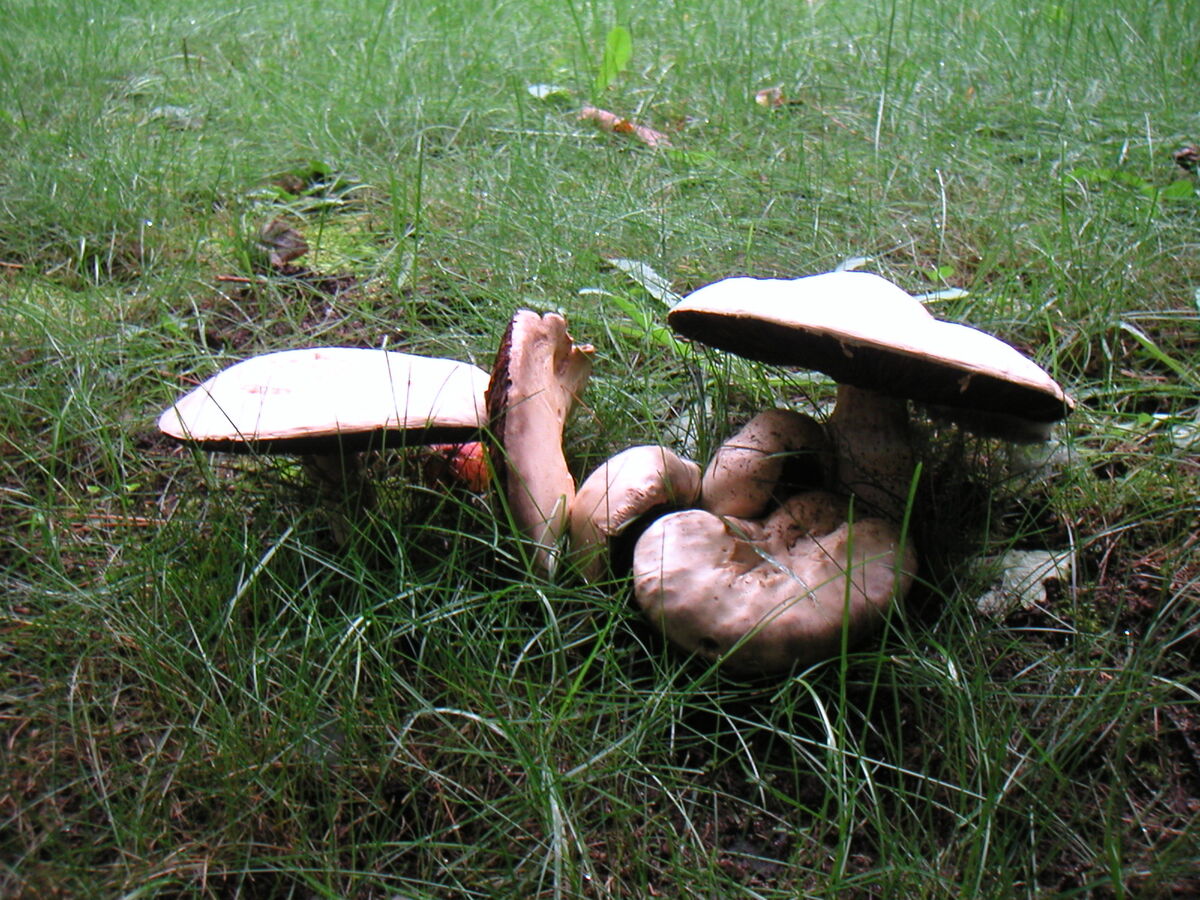 09