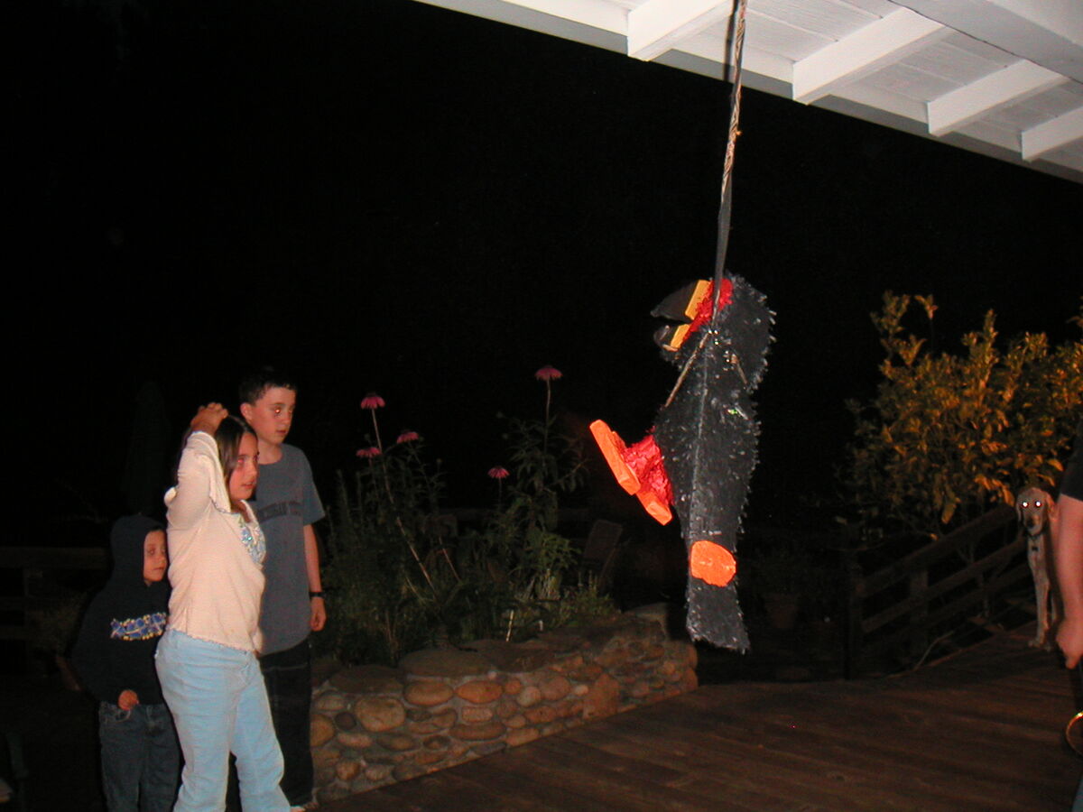 08