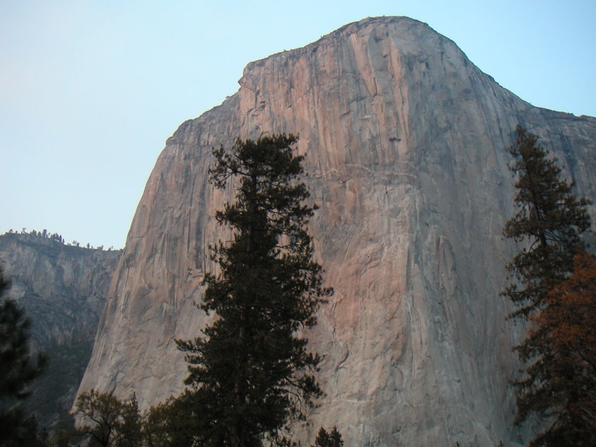 53