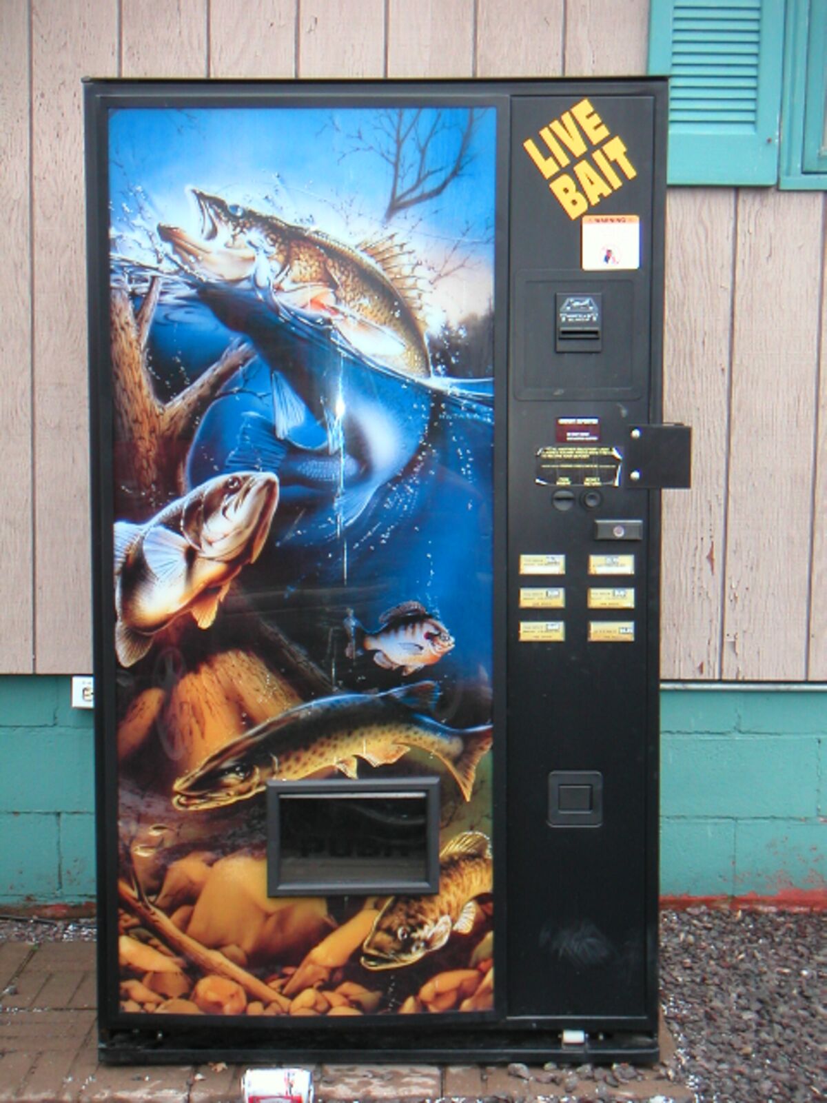 04