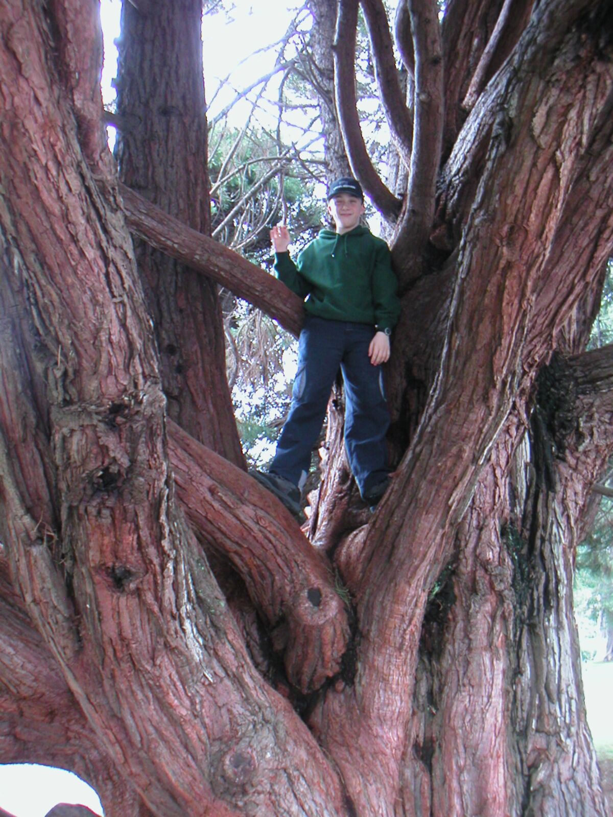 07