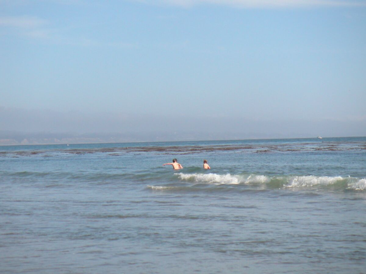 06