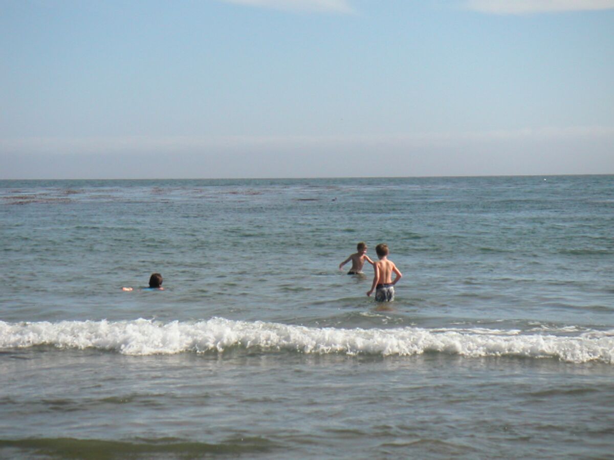 08