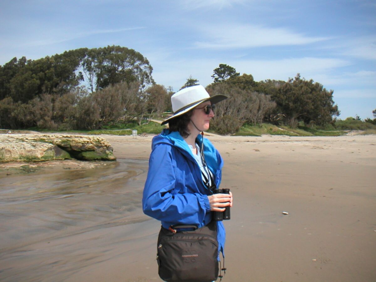 04