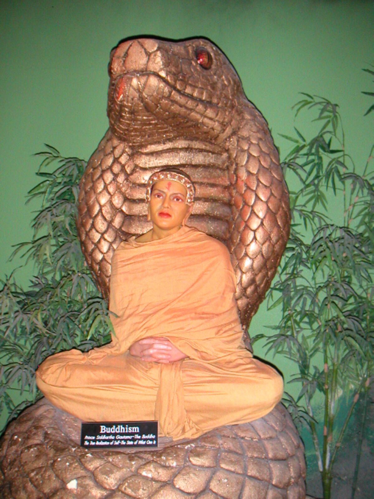 30