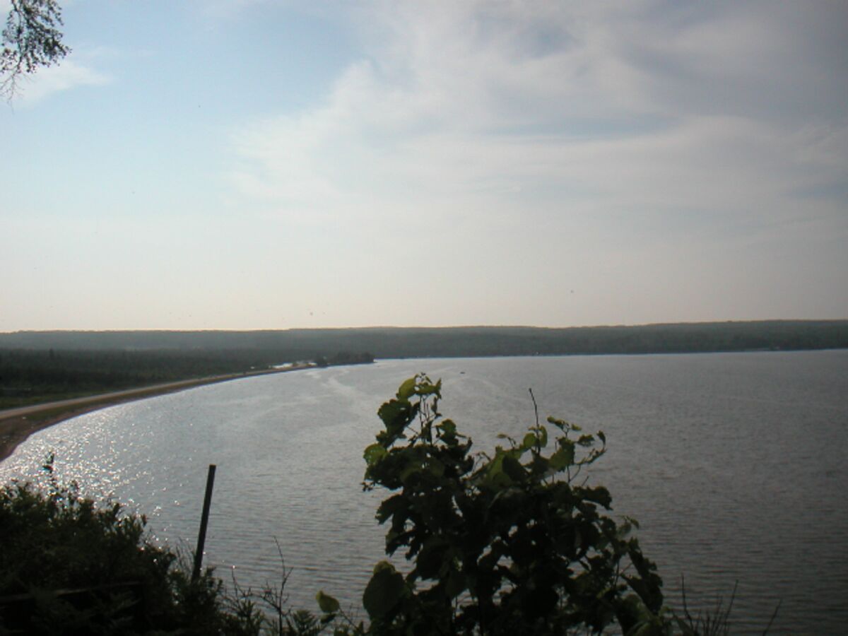 07