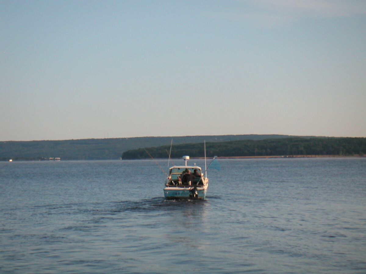 08