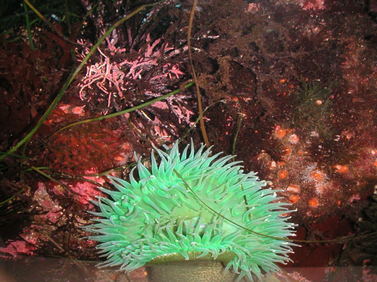 05