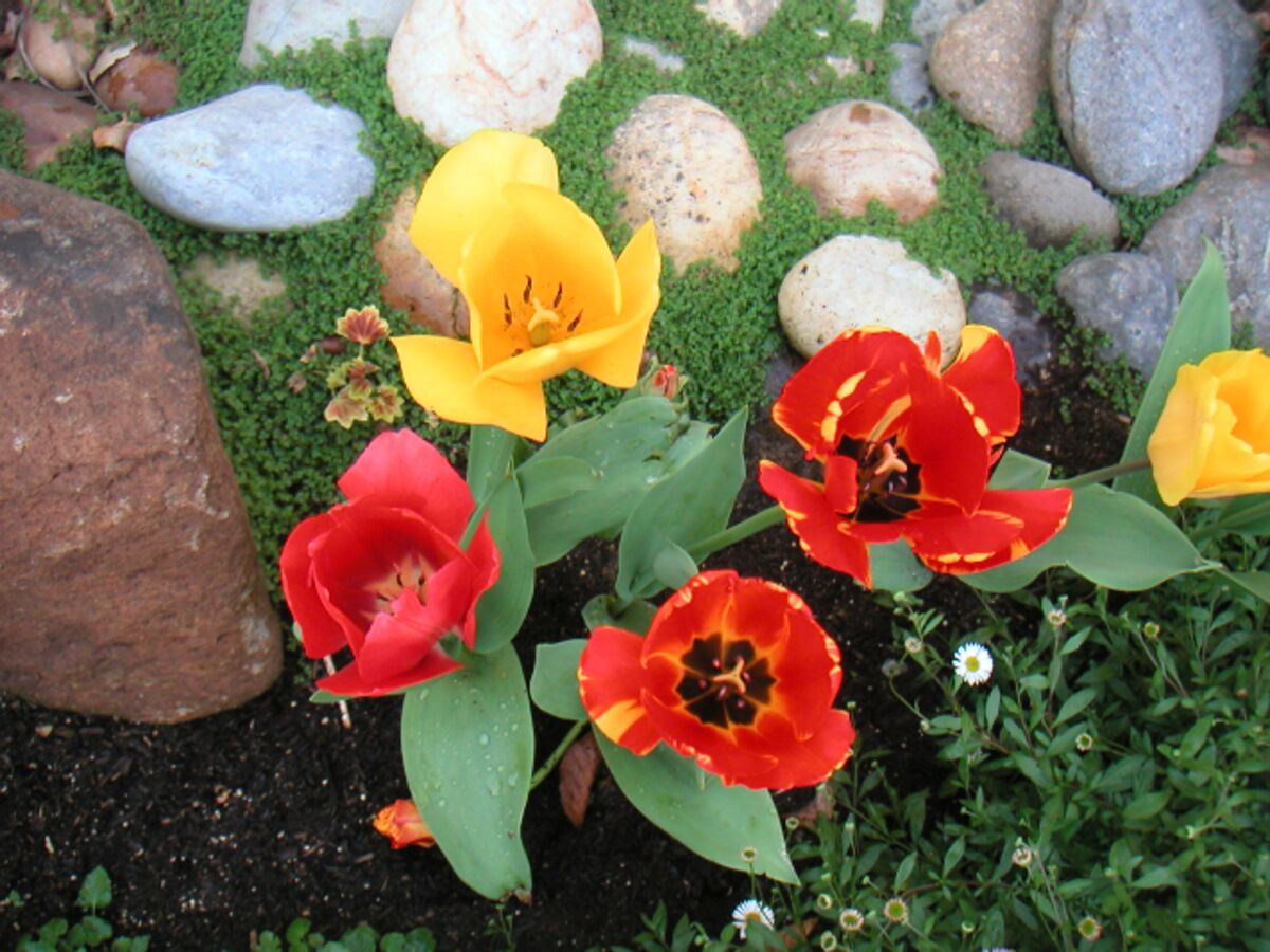 05