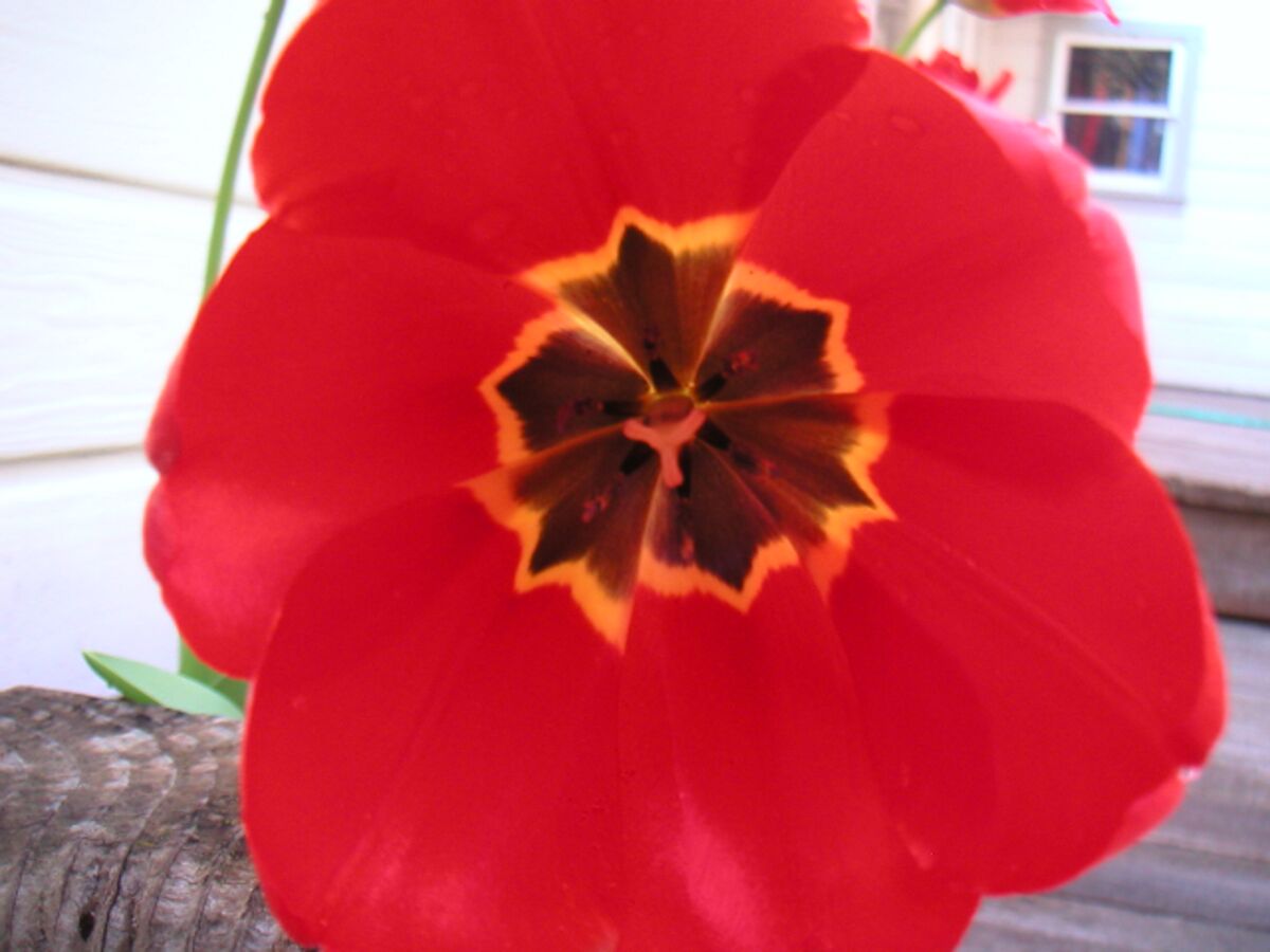 08