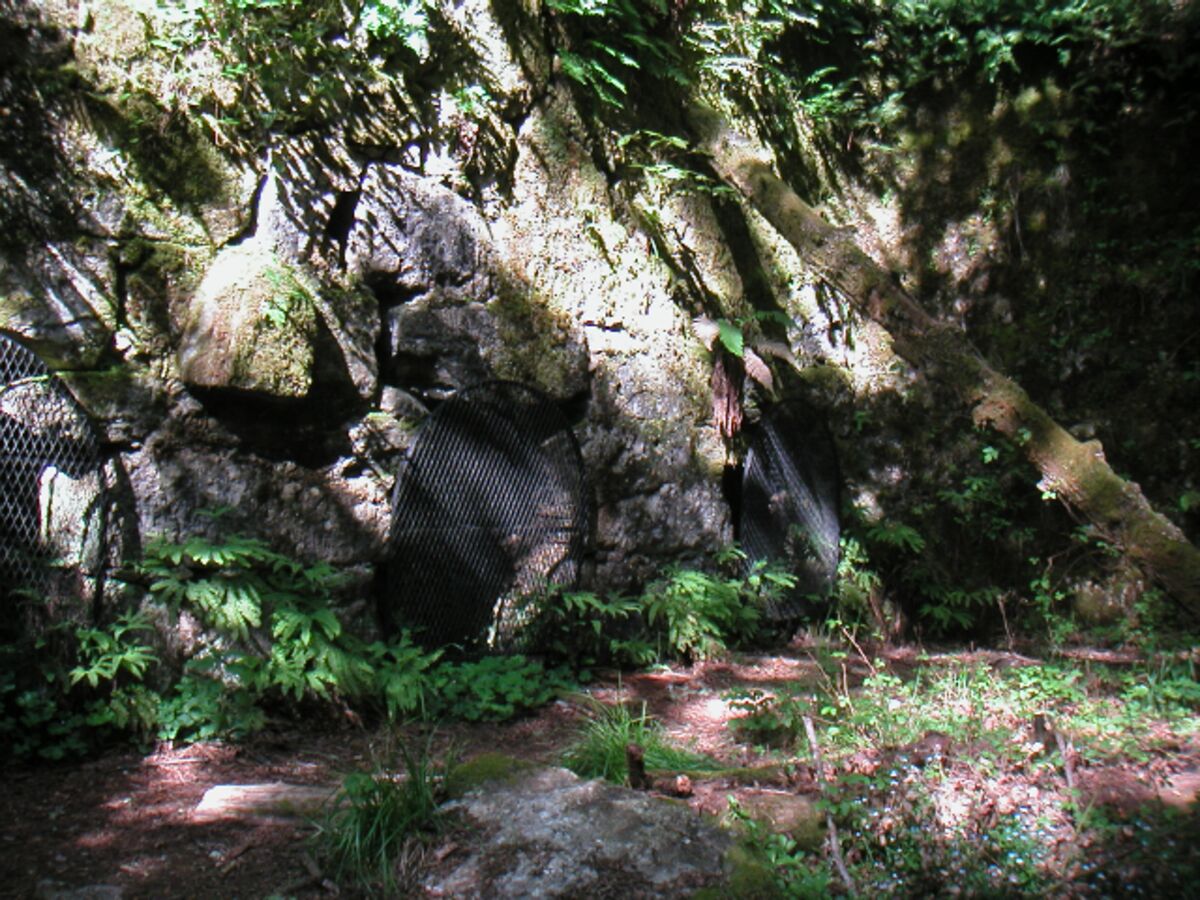 04