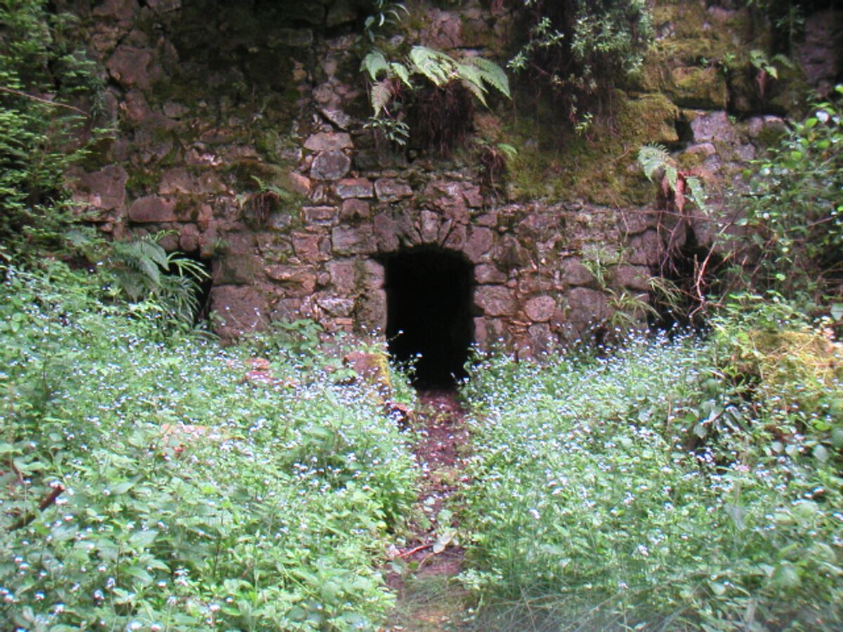 06