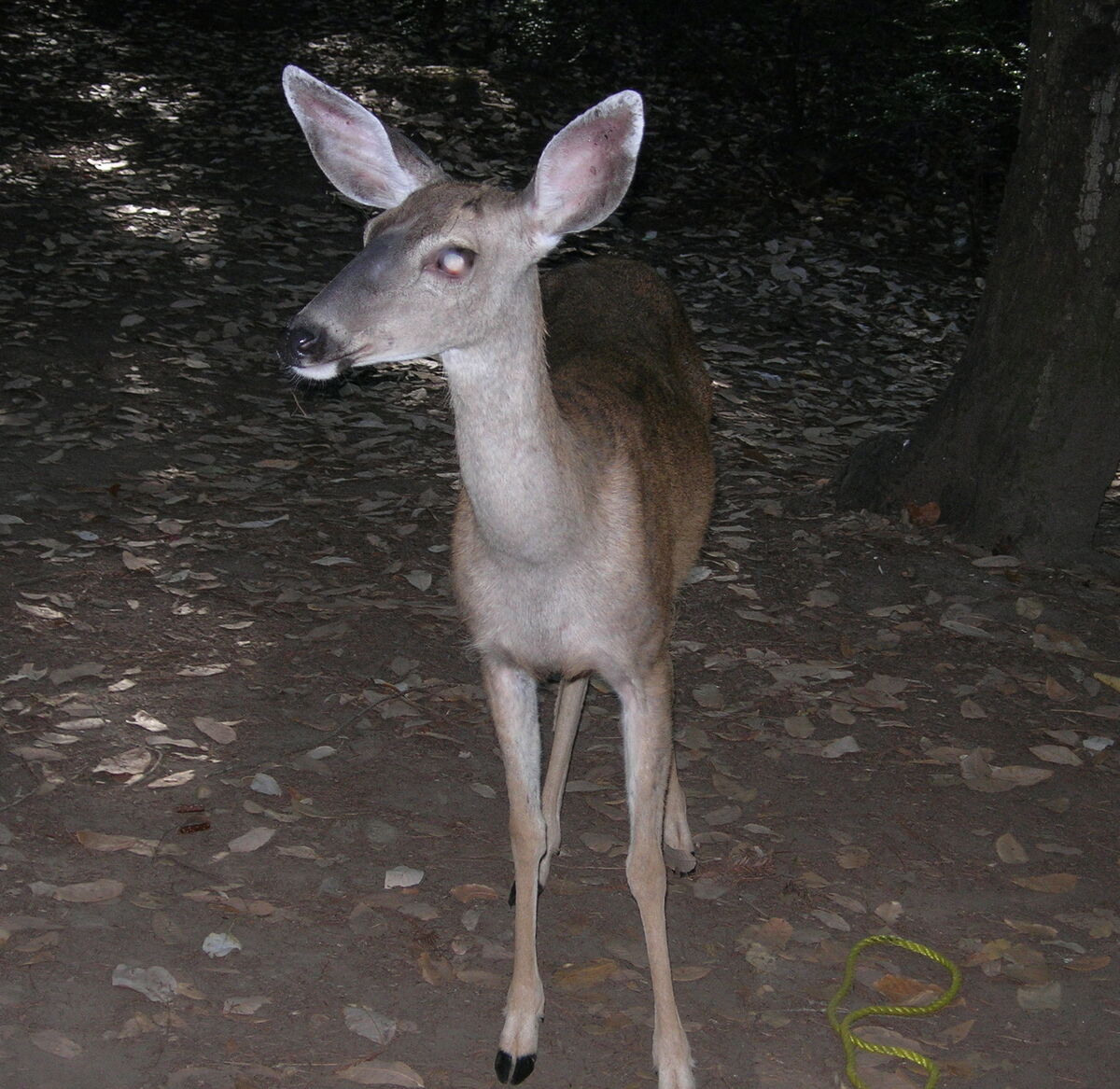 07