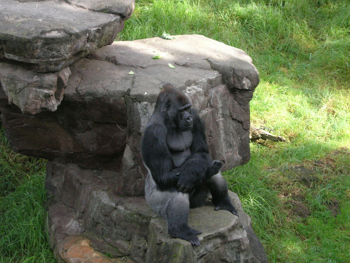 09