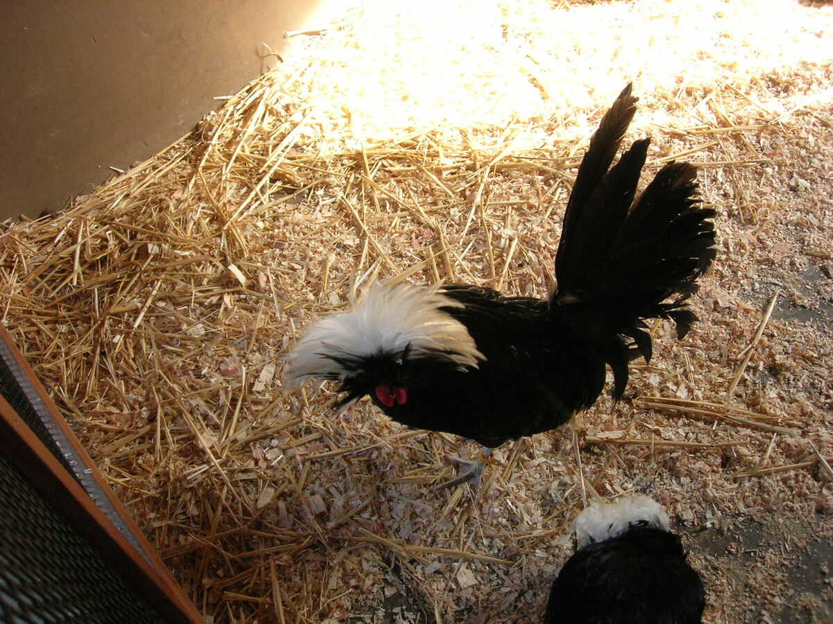 70