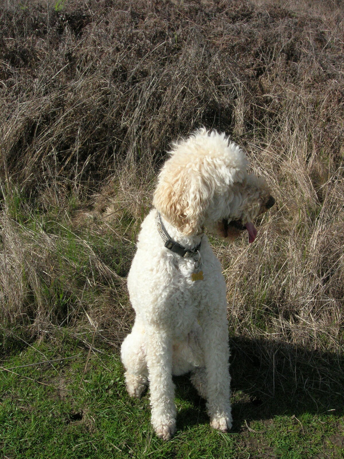 06