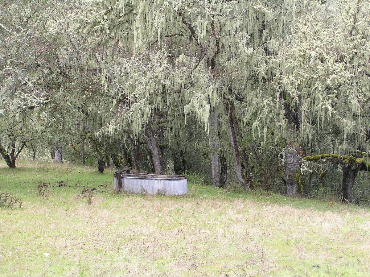 41