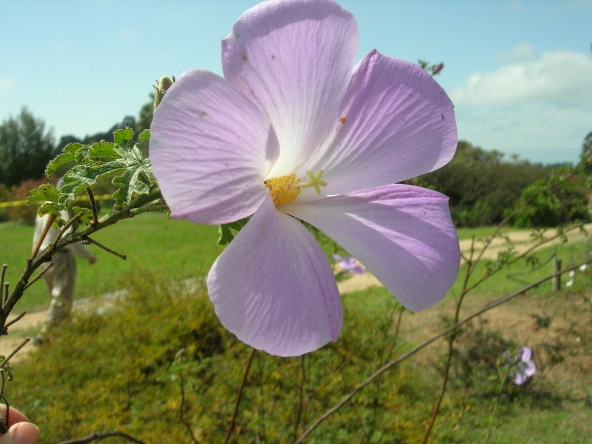 07