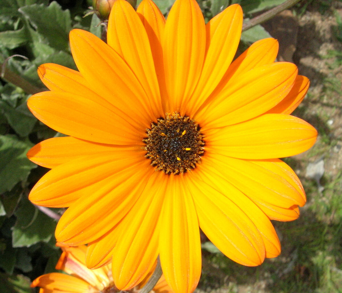 08