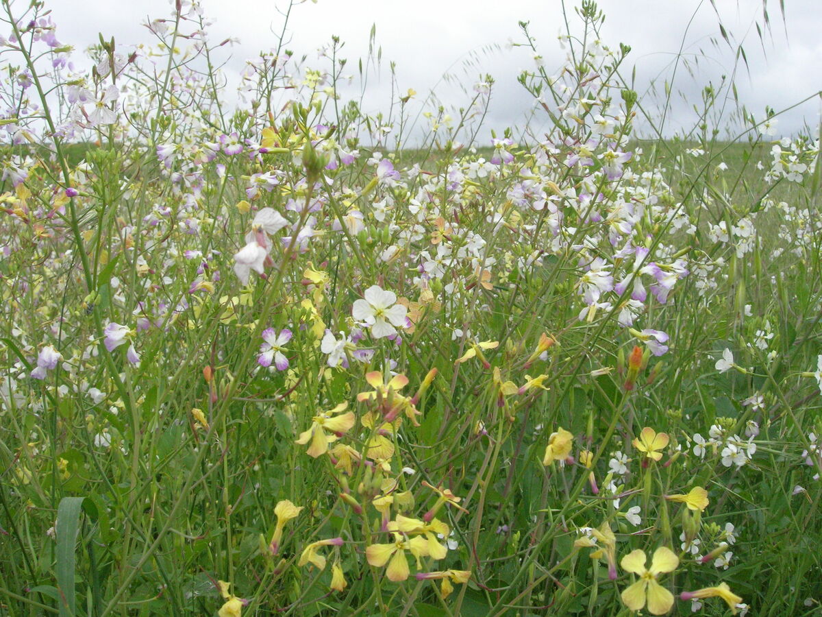 08