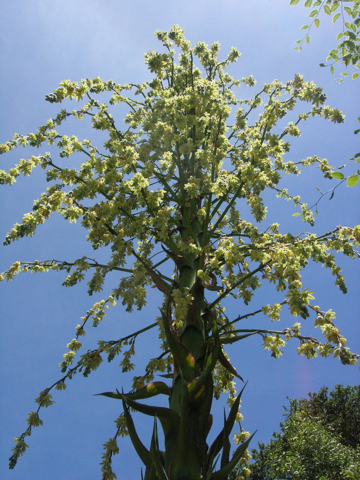 04