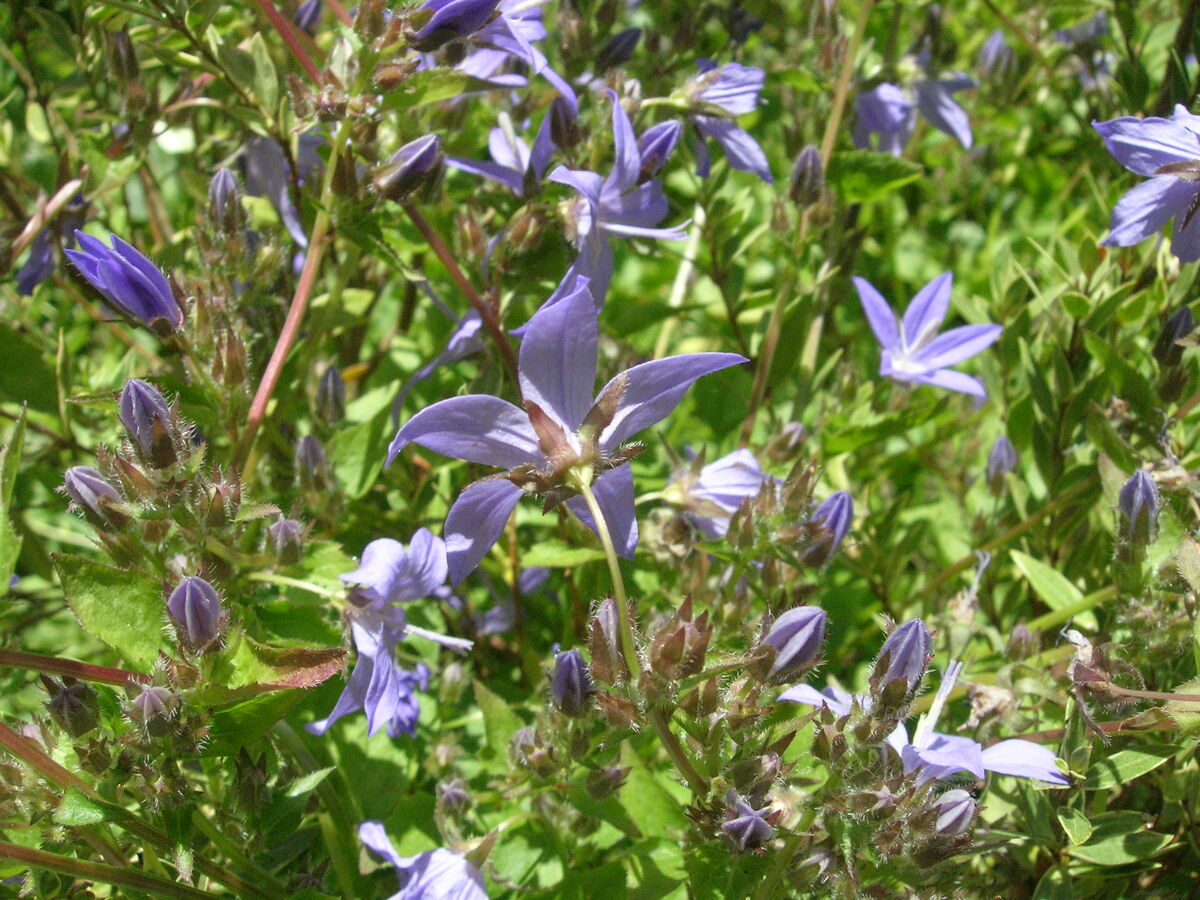 05