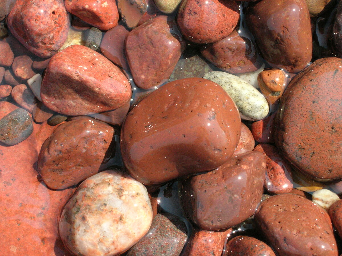 09