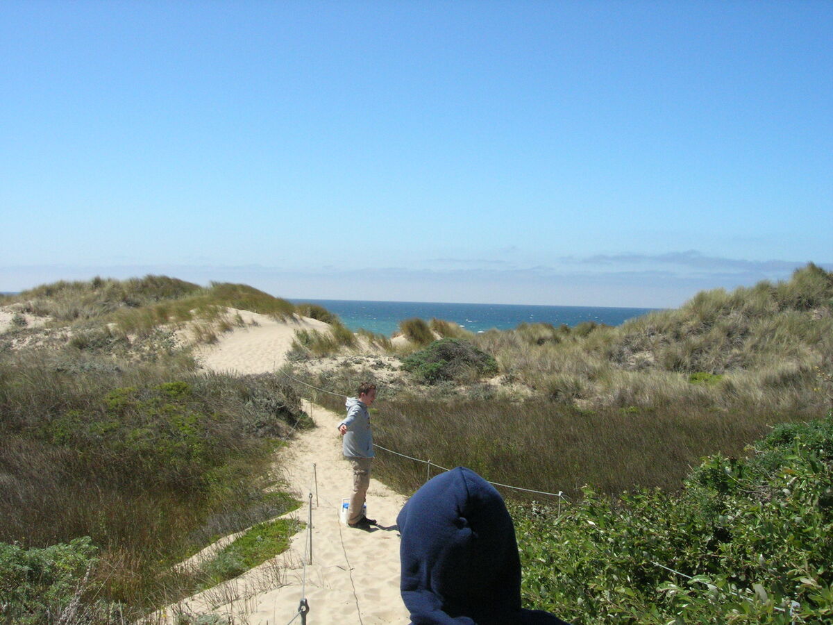 09