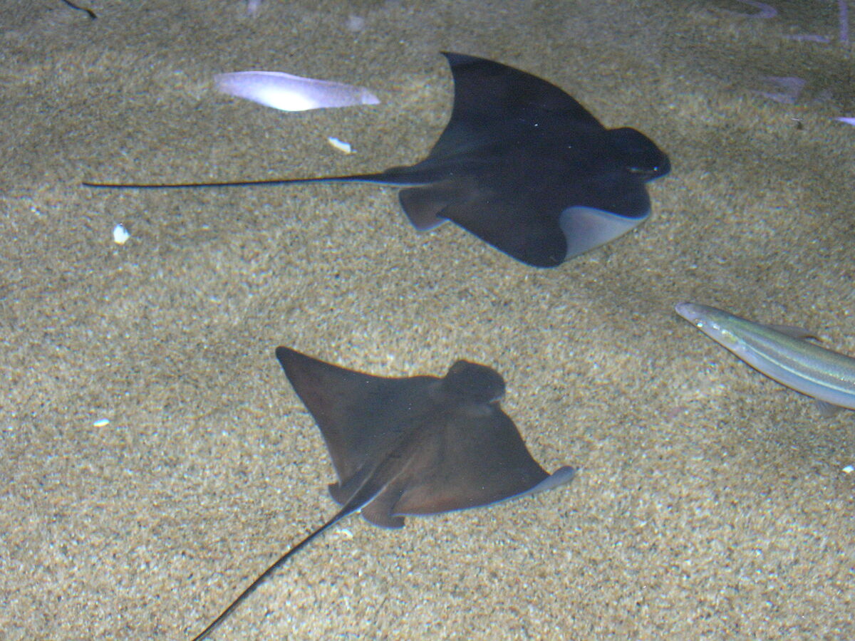 07