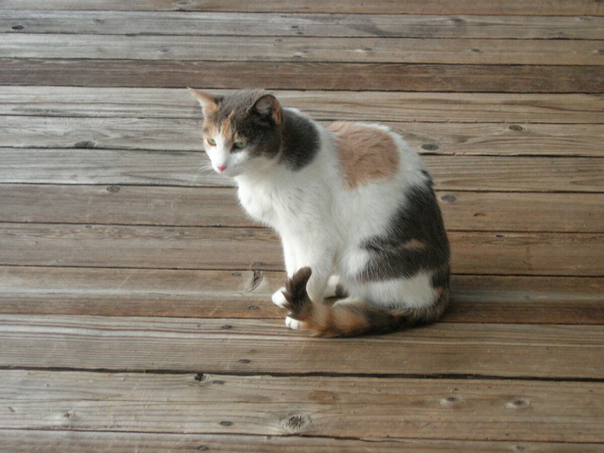 05