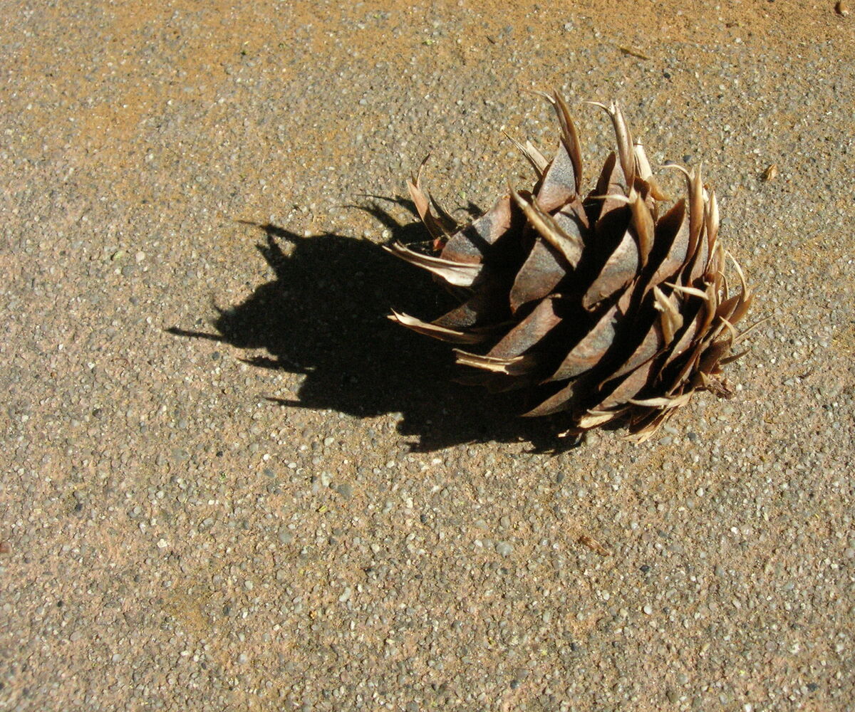09