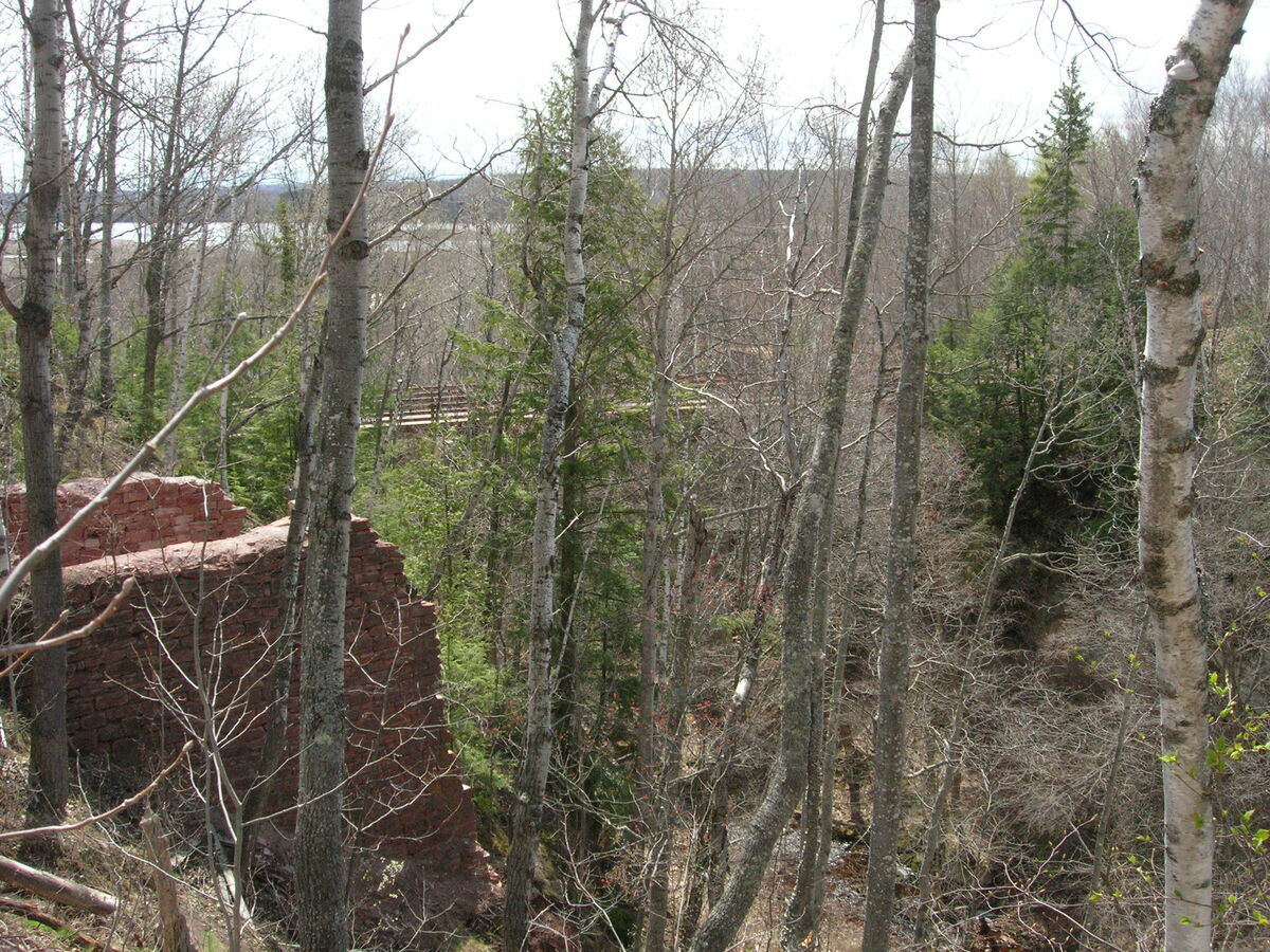 06