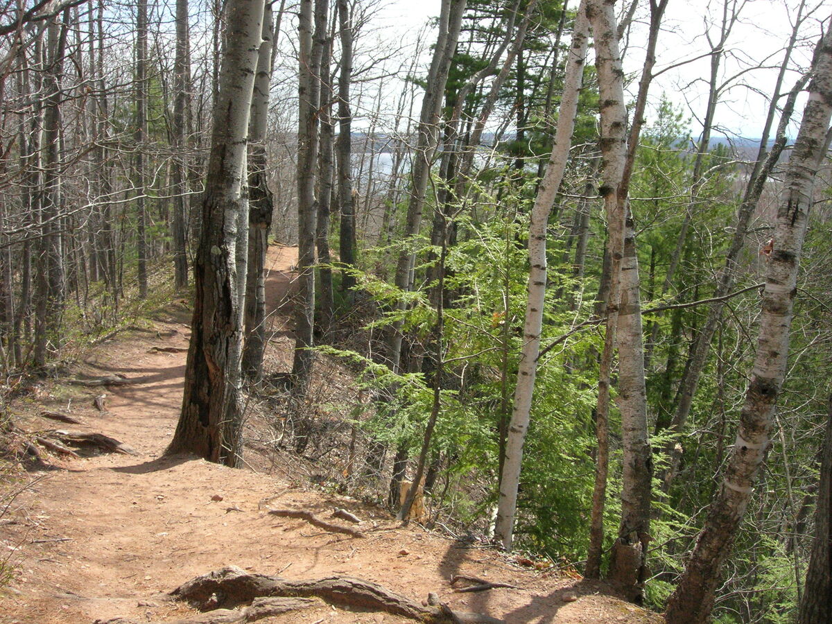 09