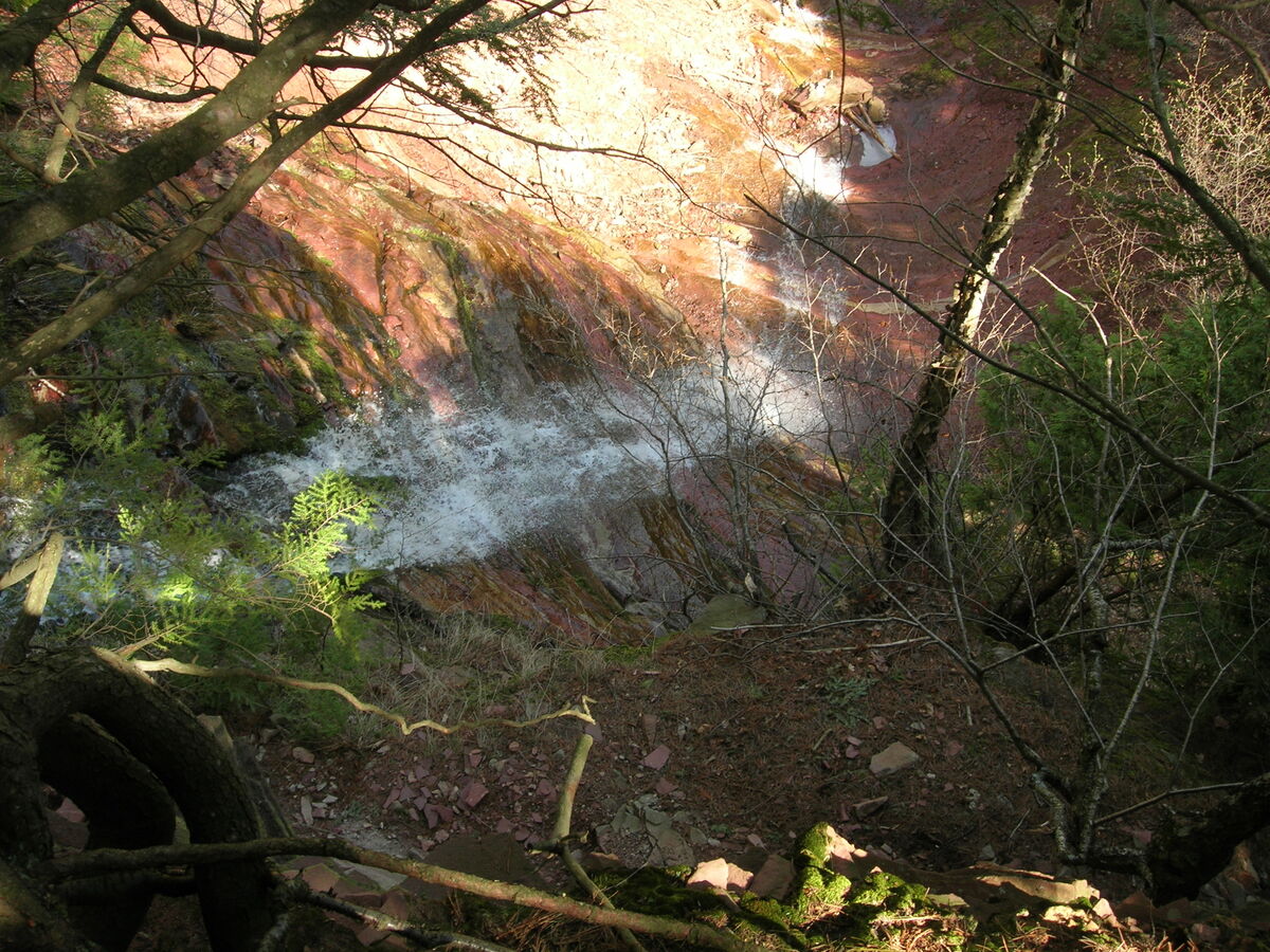 25
