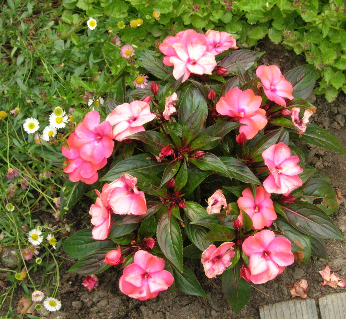 08