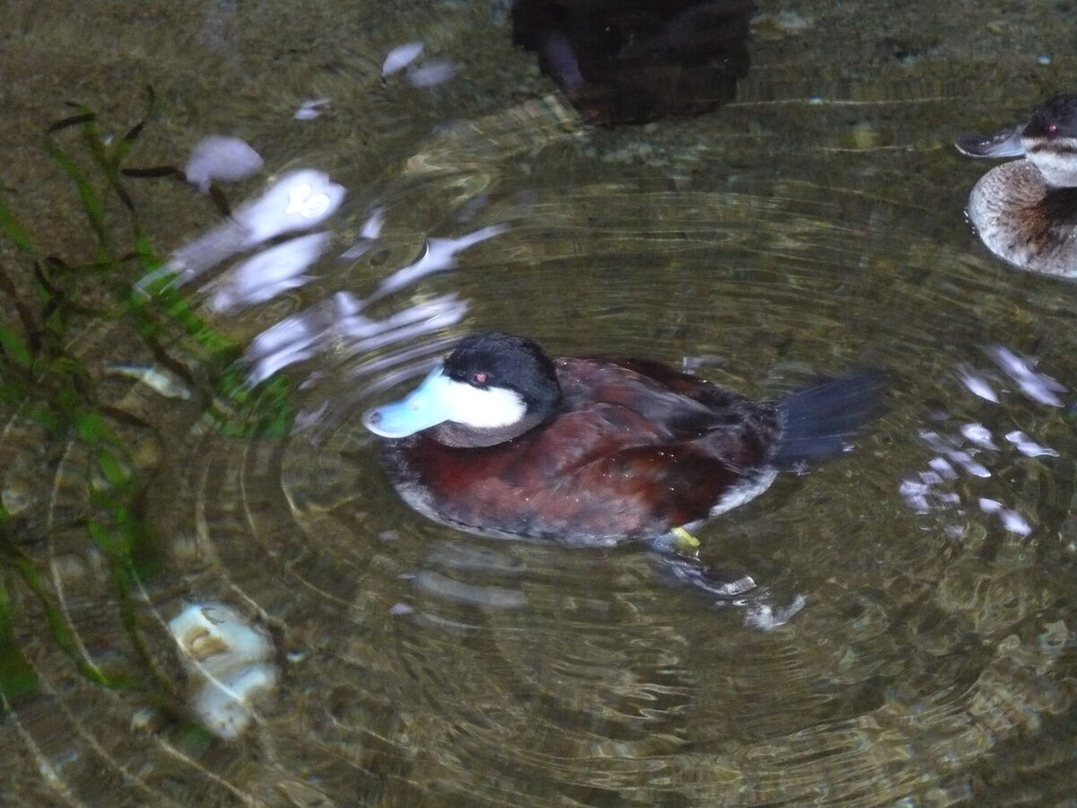 09