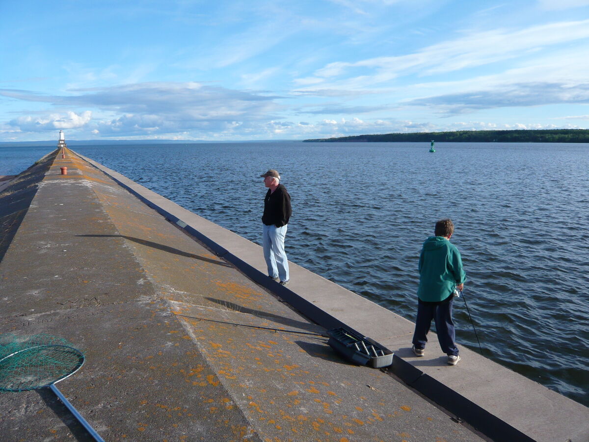 02
