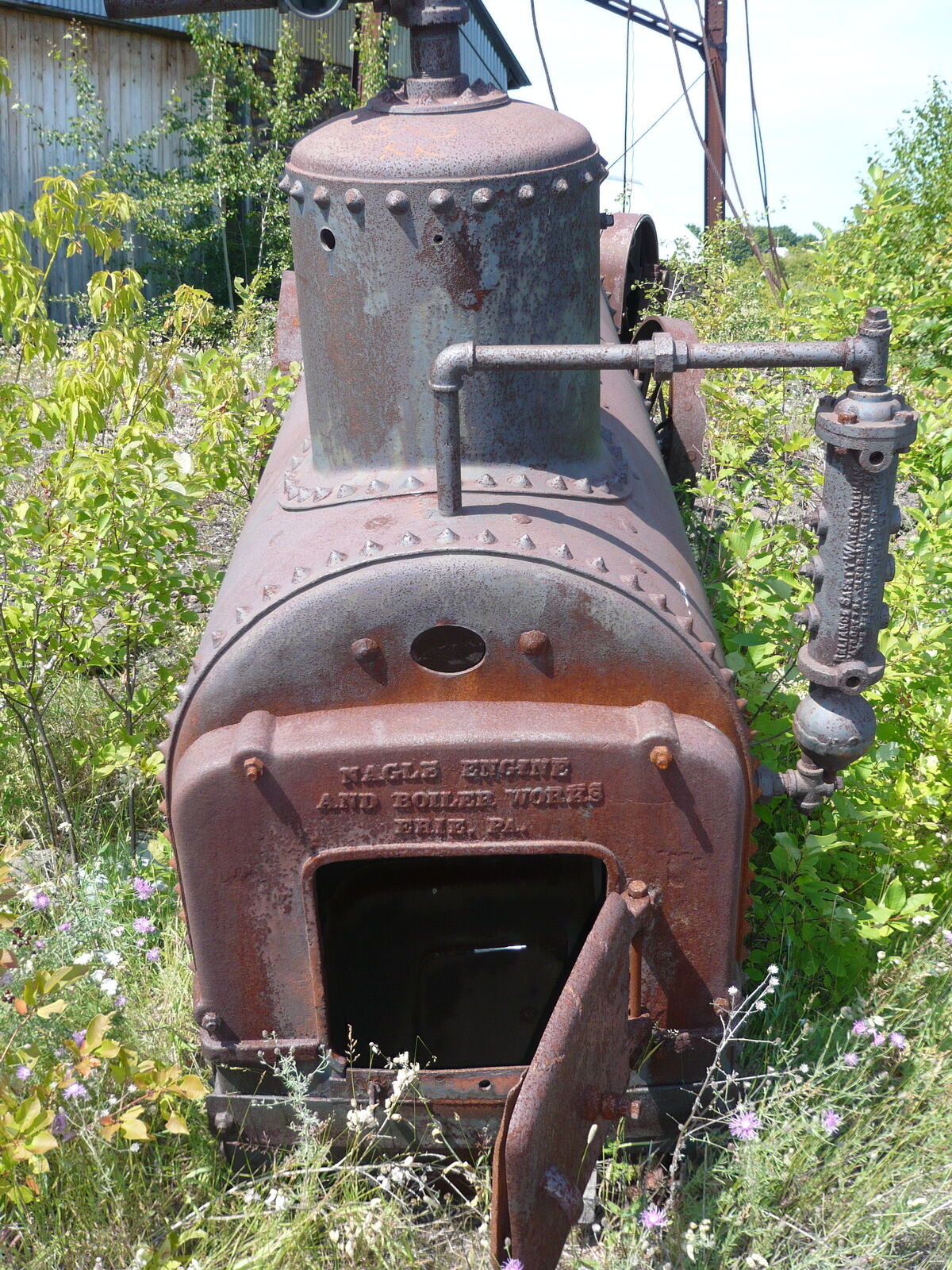 26