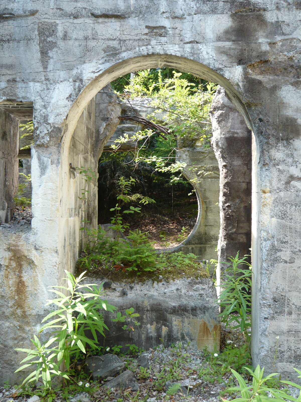 09