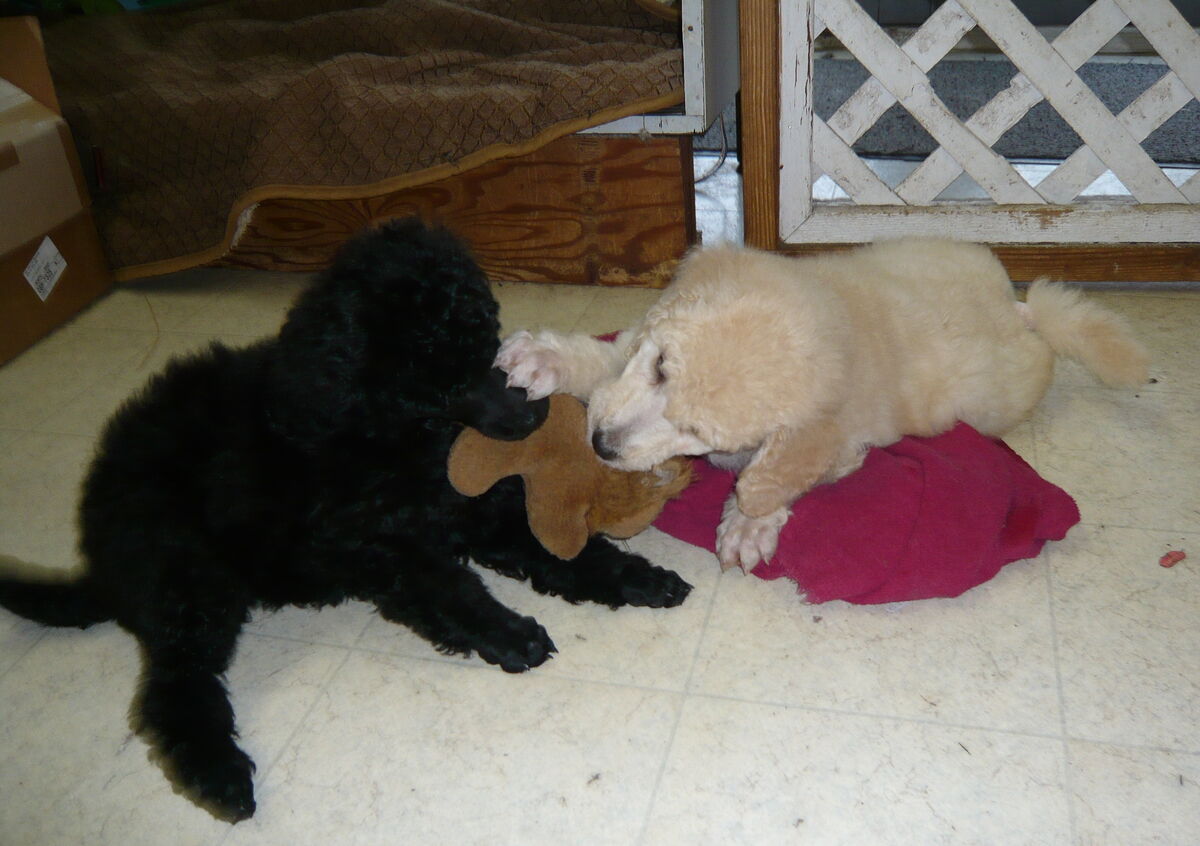24