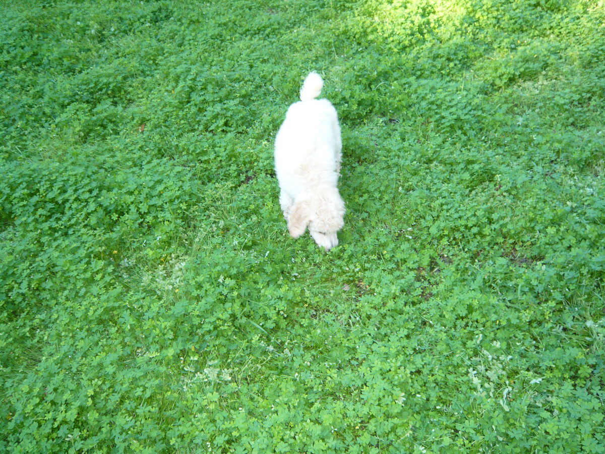 04