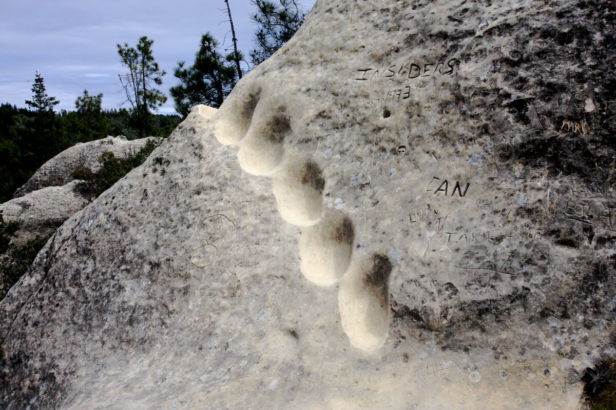 31