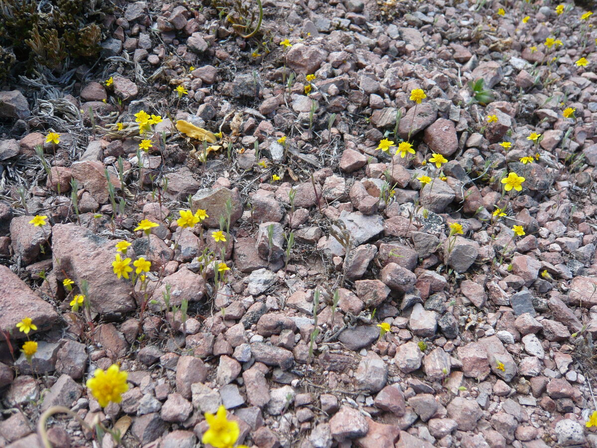 93