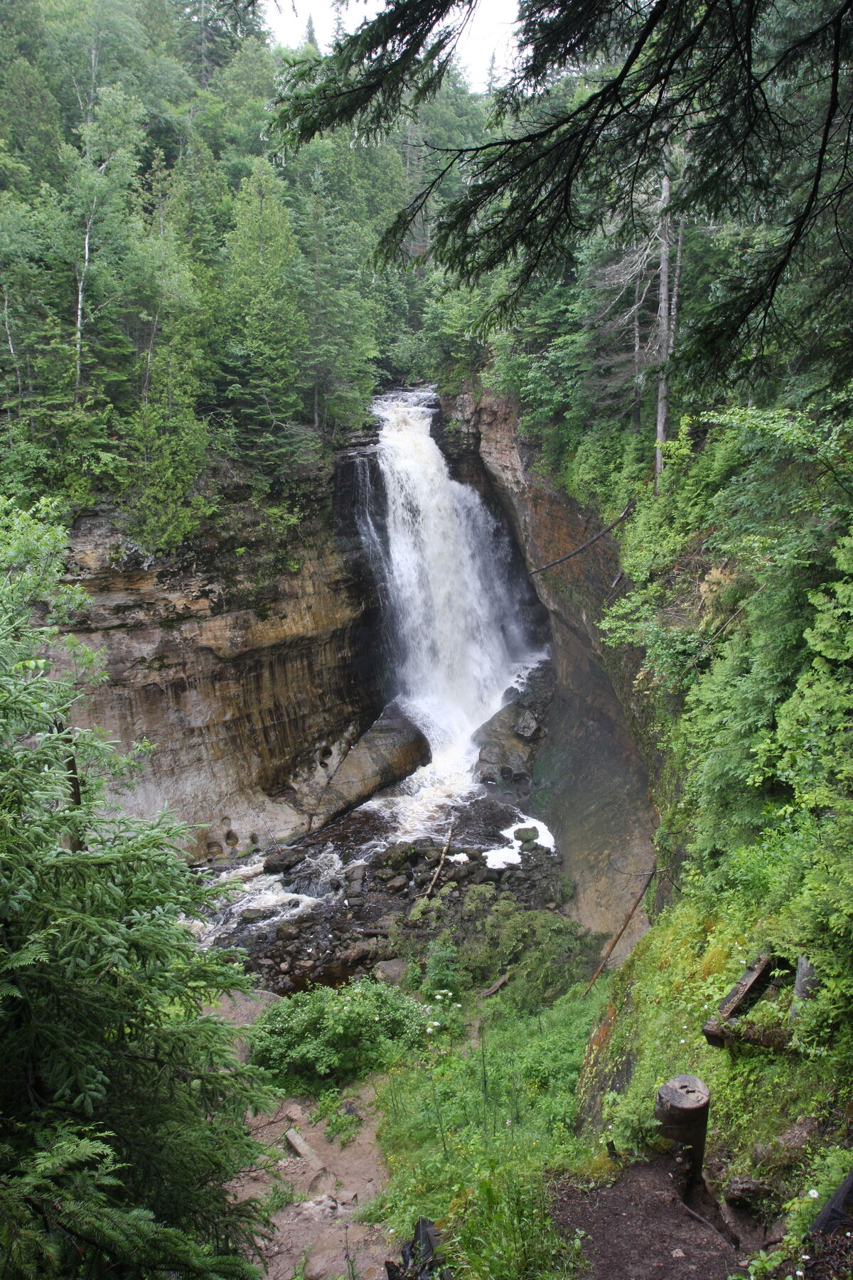 19